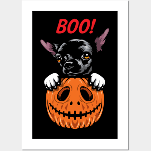 Halloween Pumpkin Chihuahua Posters and Art